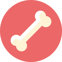 icon bone