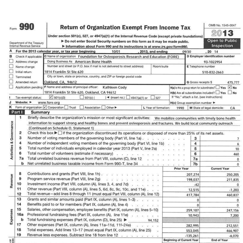 2013 IRS form 990