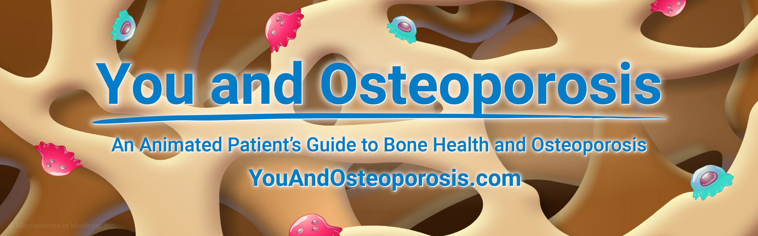 An Animated Guide to Bone Health and Osteoporosis - American Bone Health